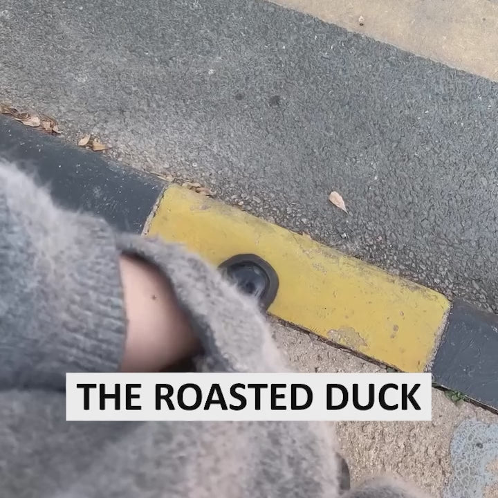 Load video: Color-changing Roast Duck Pendant